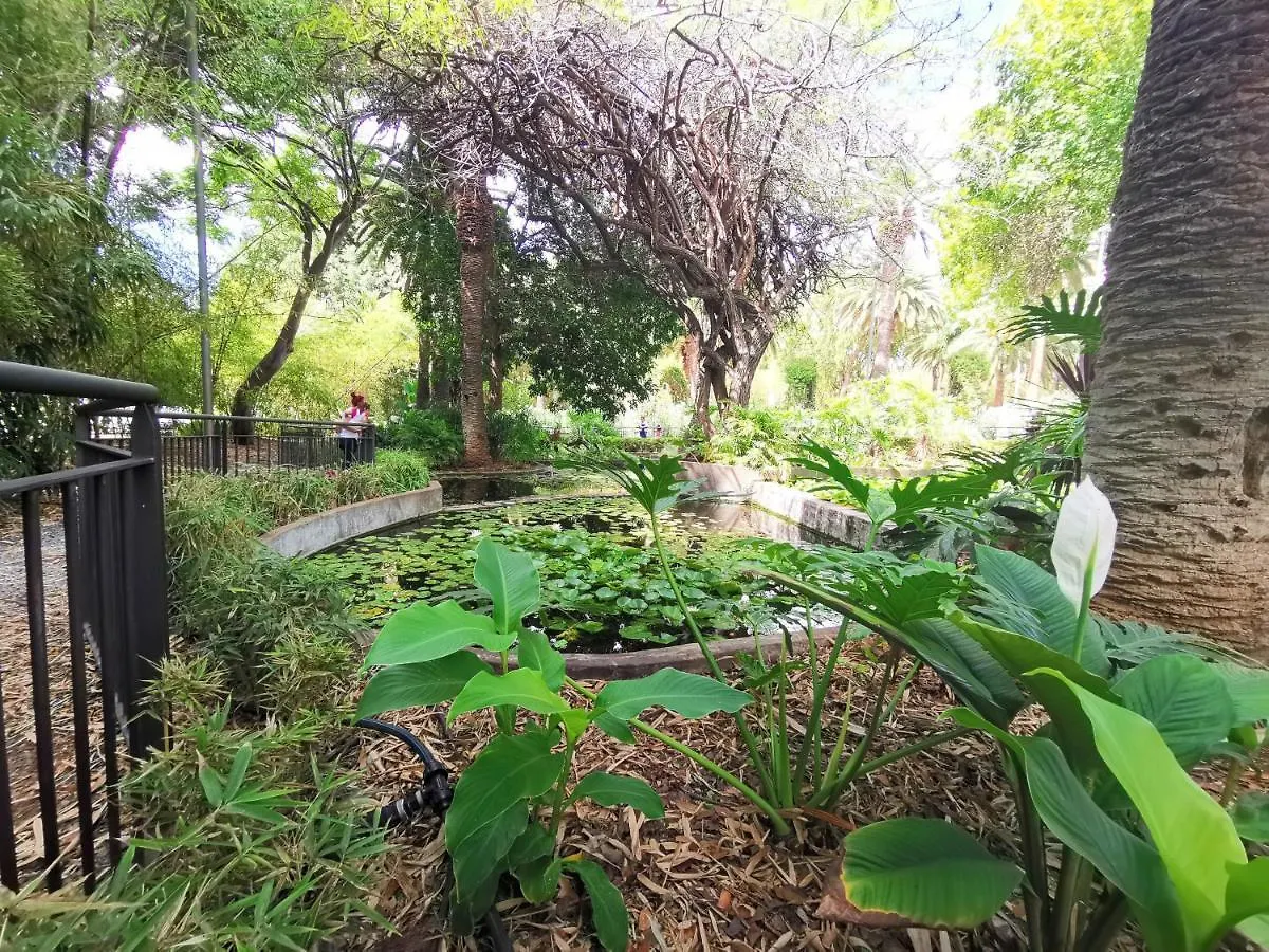 Apartment Home2Book El Encanto 3 De Mayo Santa Cruz de Tenerife Spain